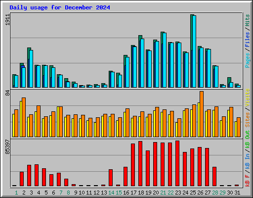 Daily usage for December 2024