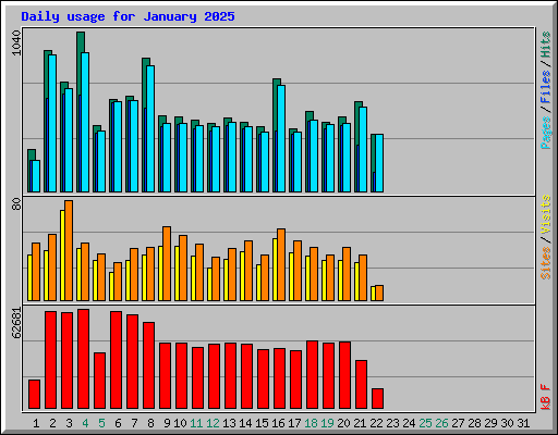 Daily usage for January 2025