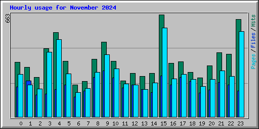 Hourly usage for November 2024