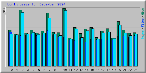 Hourly usage for December 2024