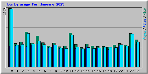 Hourly usage for January 2025