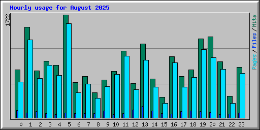 Hourly usage for August 2025