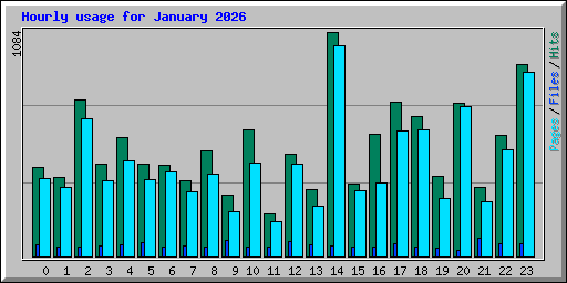 Hourly usage for January 2026