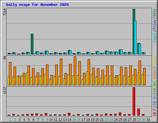 Daily usage for November 2025