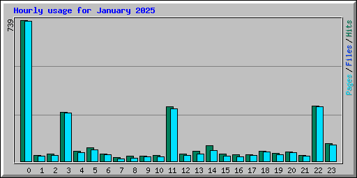 Hourly usage for January 2025