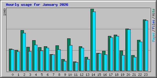 Hourly usage for January 2026